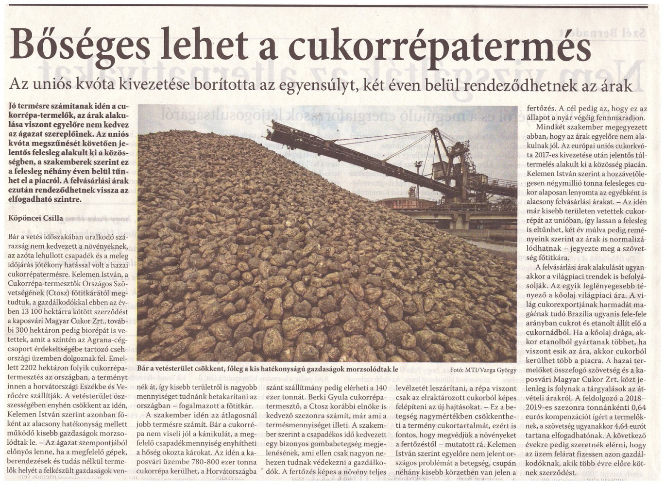 Magyar Nemzet cikke a cukorrépa termesztésről